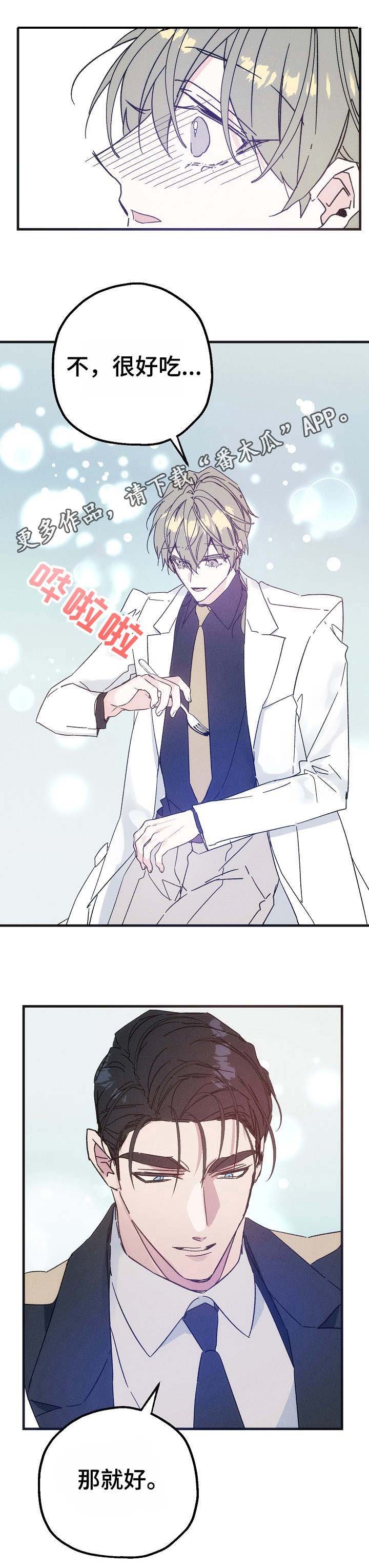 第29章：议论