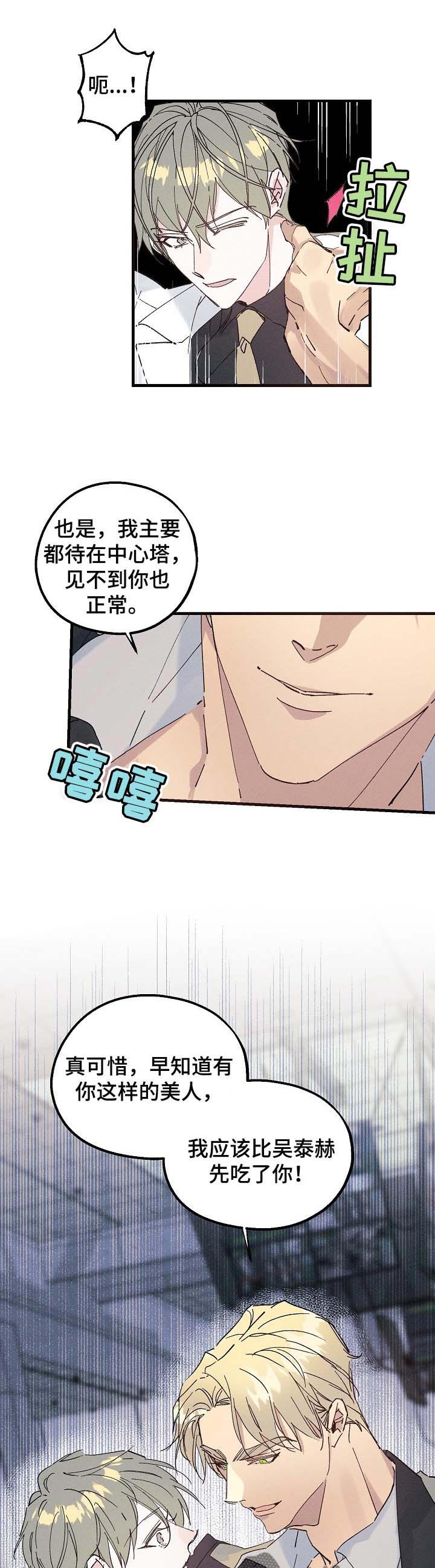第33章：生日