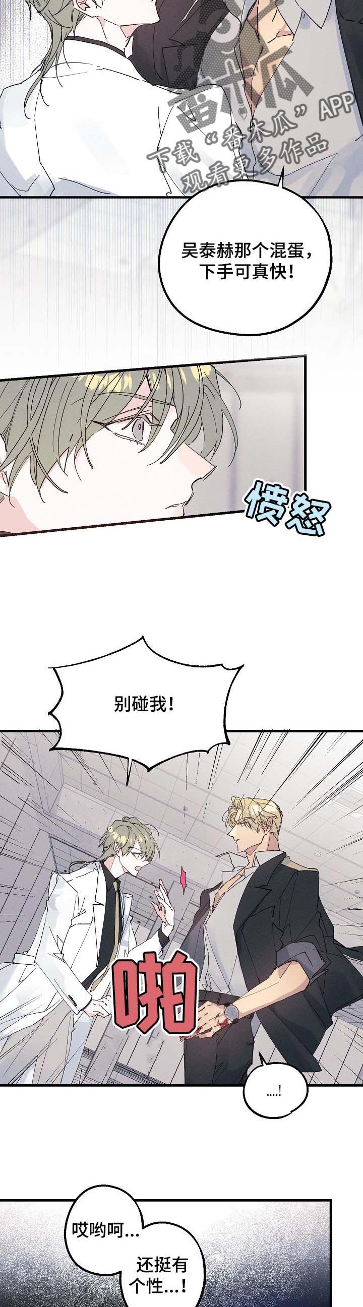 第33章：生日