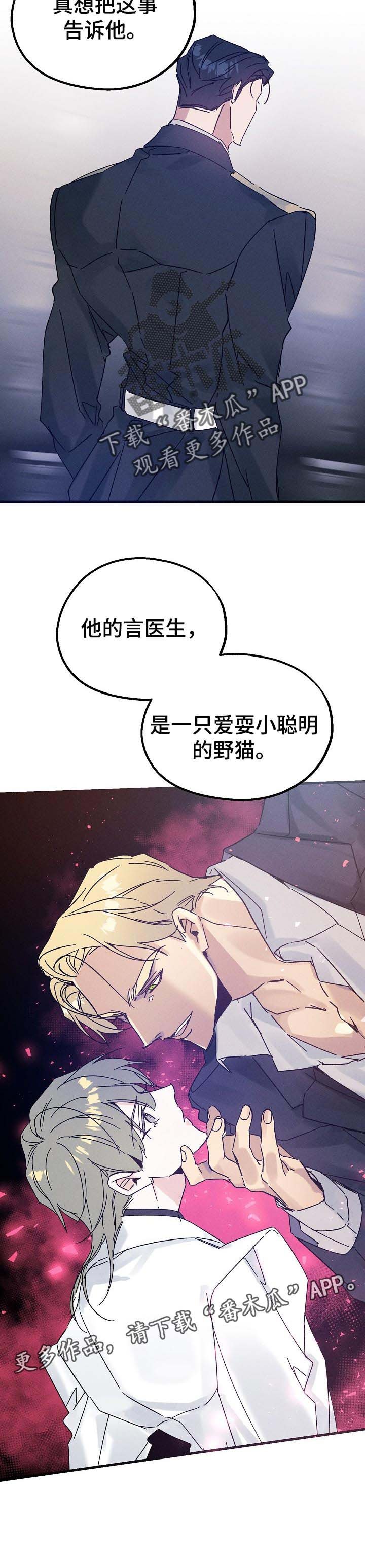 第41章：野猫