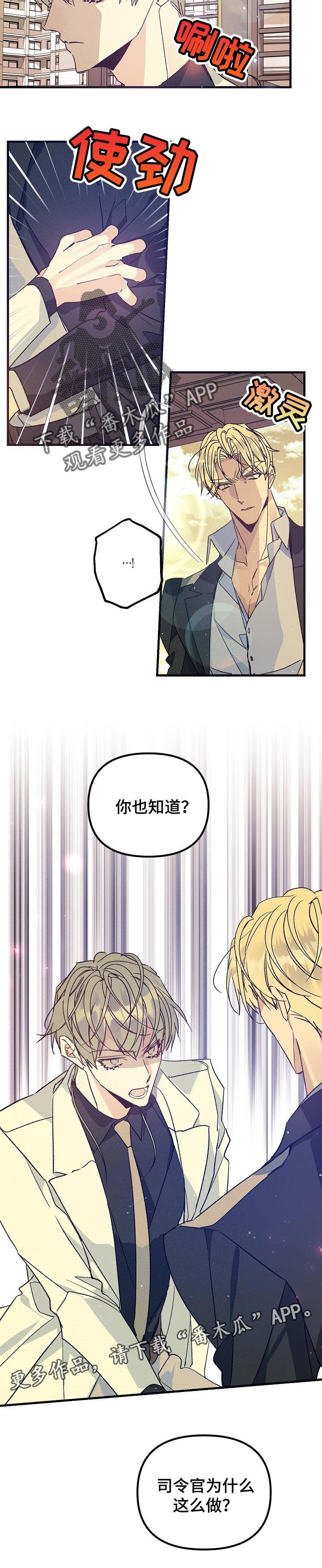 第77章：你也别查了