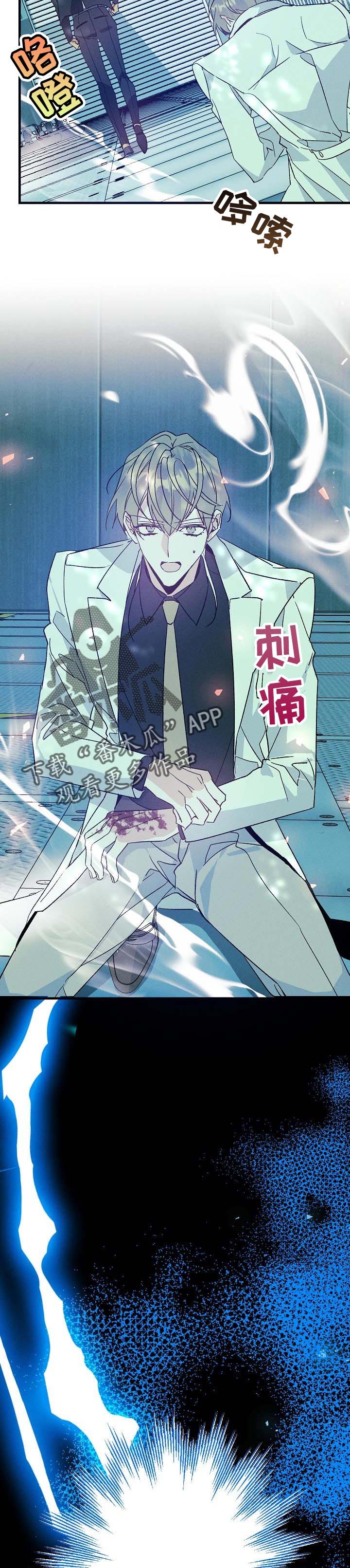 第82章：汇报