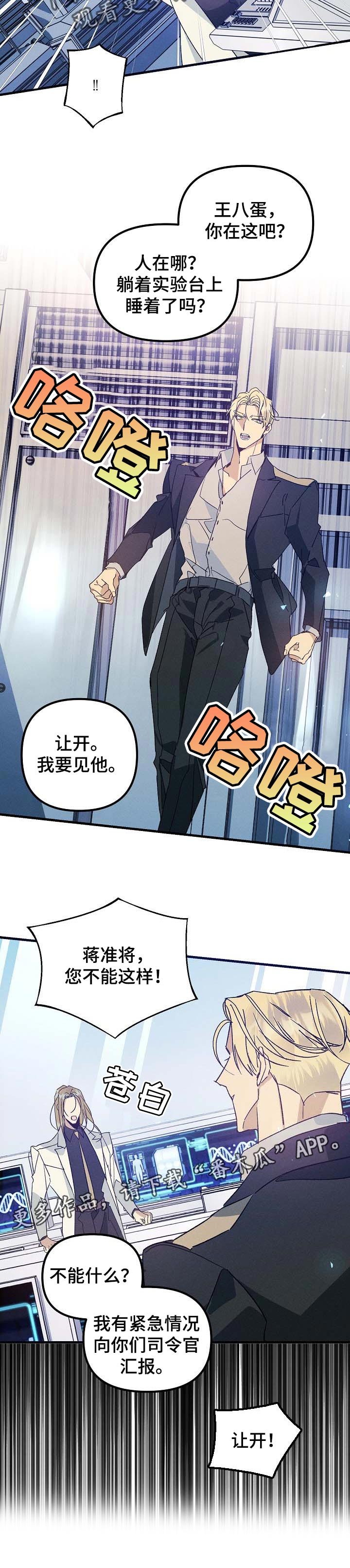 第82章：汇报