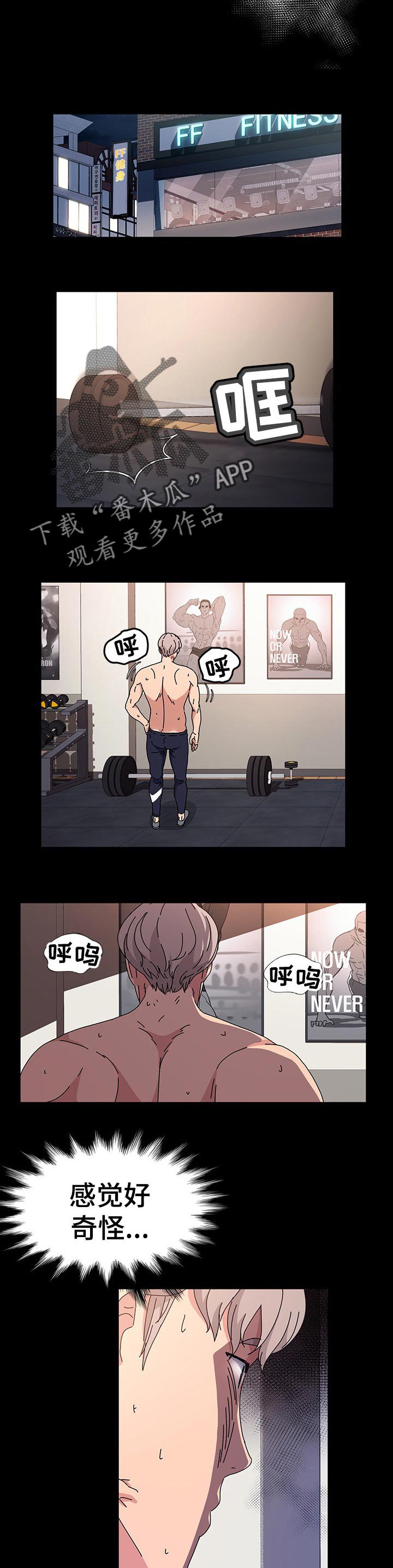第27章：调查