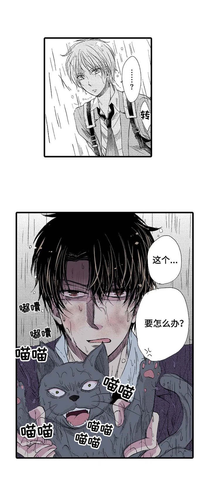 第1章：雨中来客