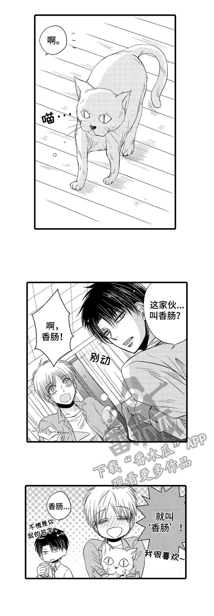 第10章：激动