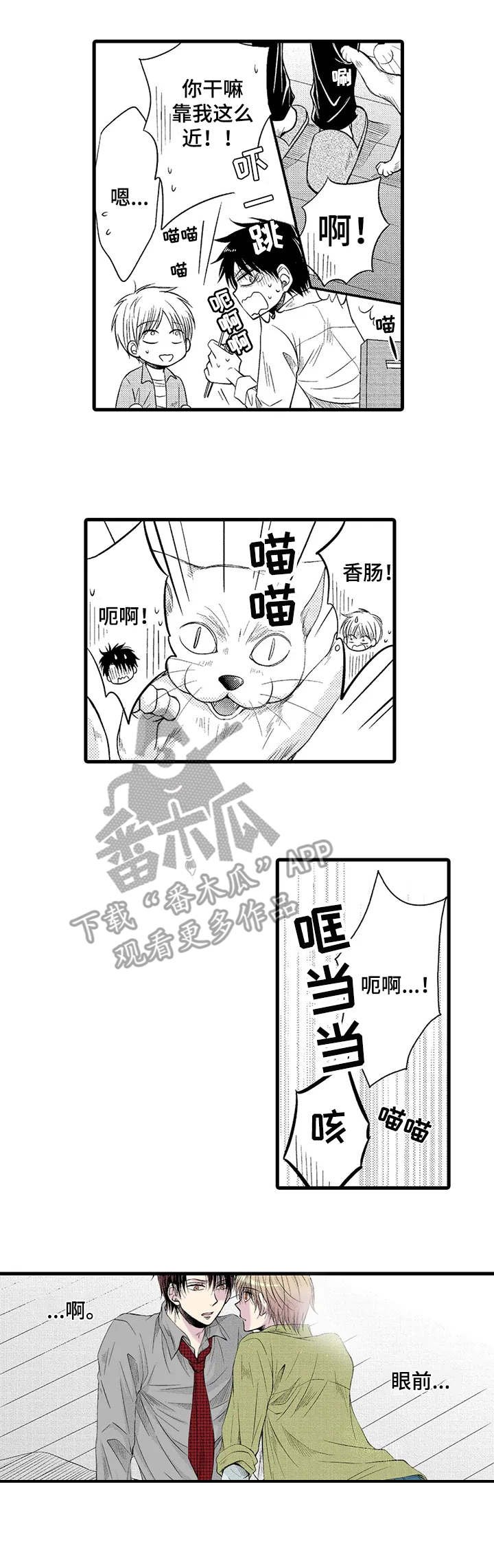 第10章：激动