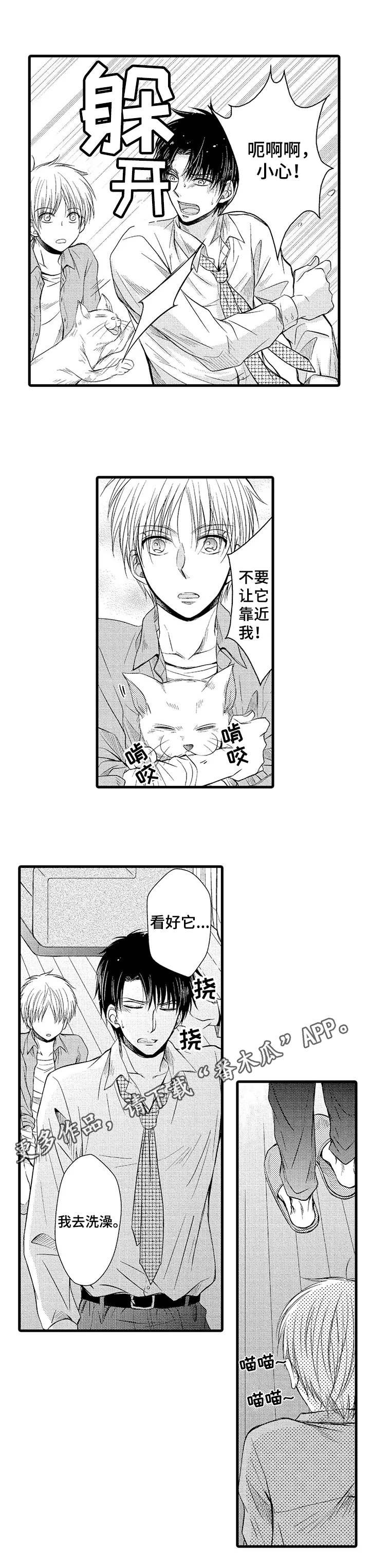 第11章：失败了