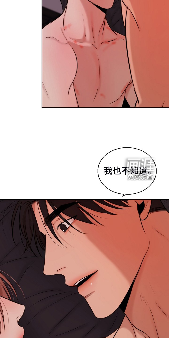 第110章：不明所以的伤
