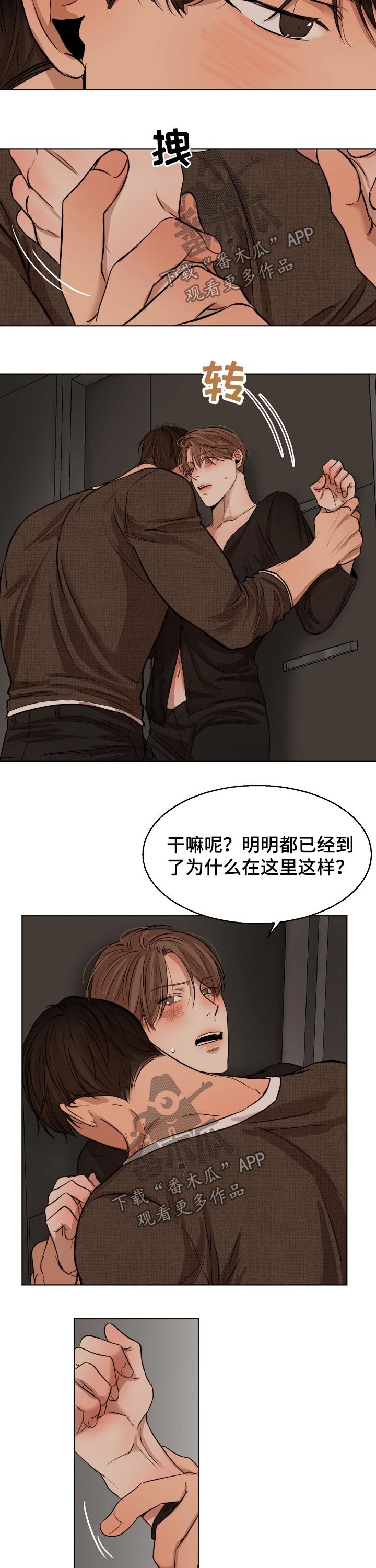 第81章：开始