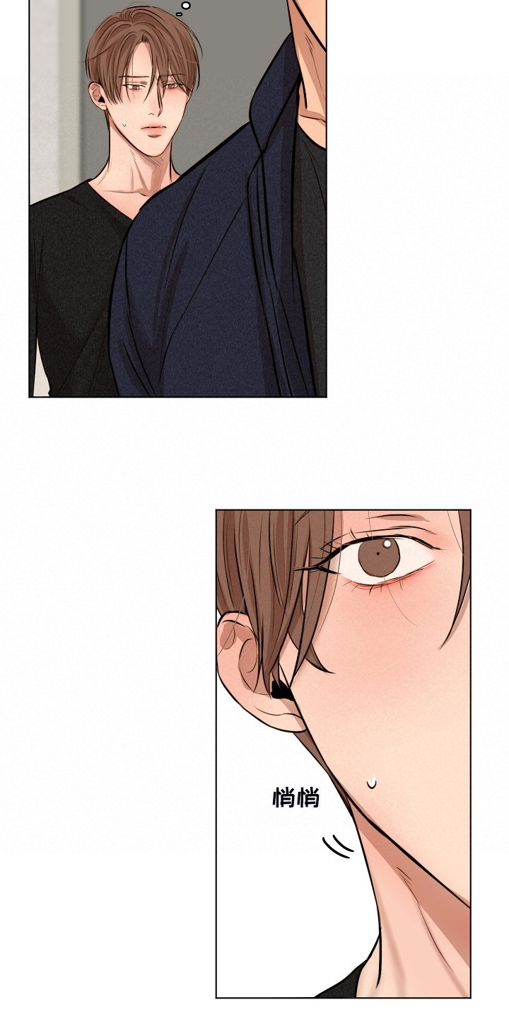 第95章：如实回答