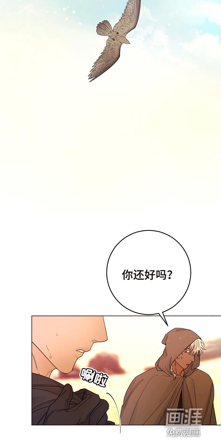 第101章：【番外】毒蛇