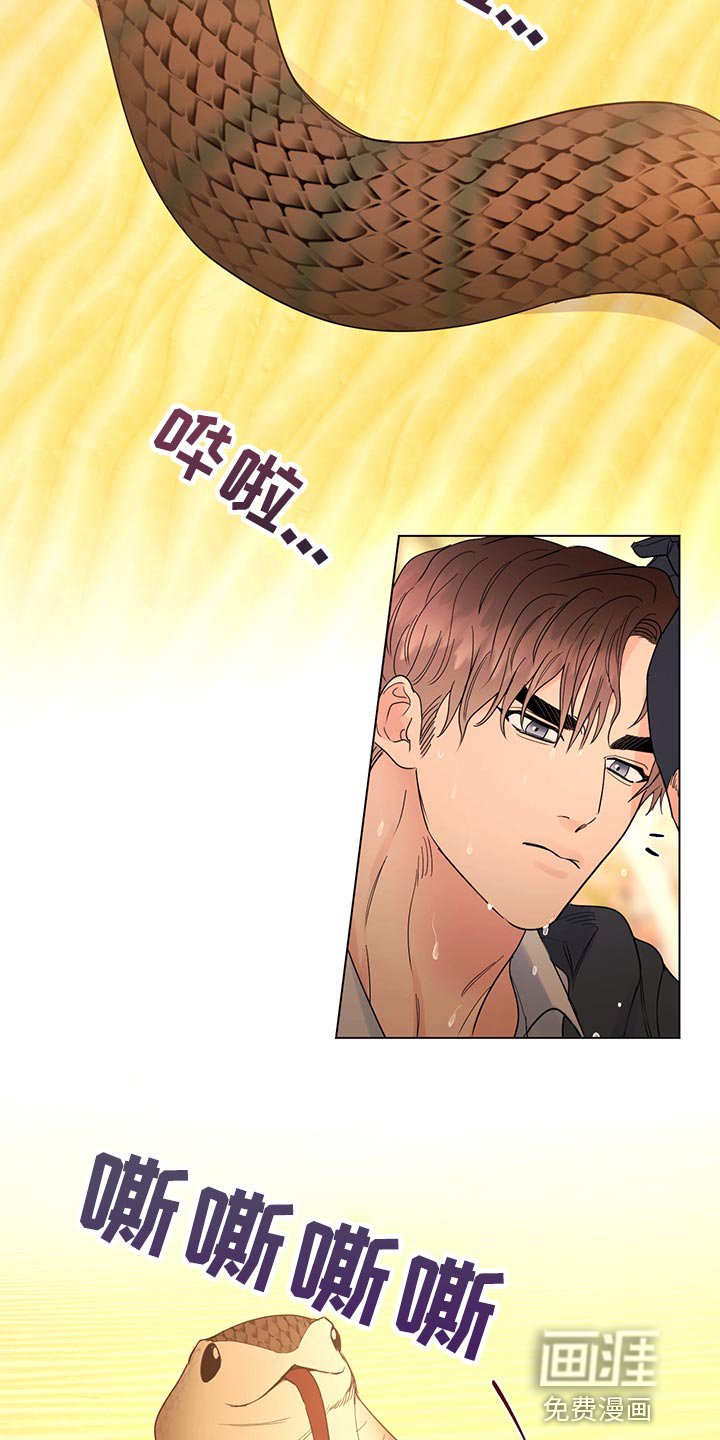 第101章：【番外】毒蛇