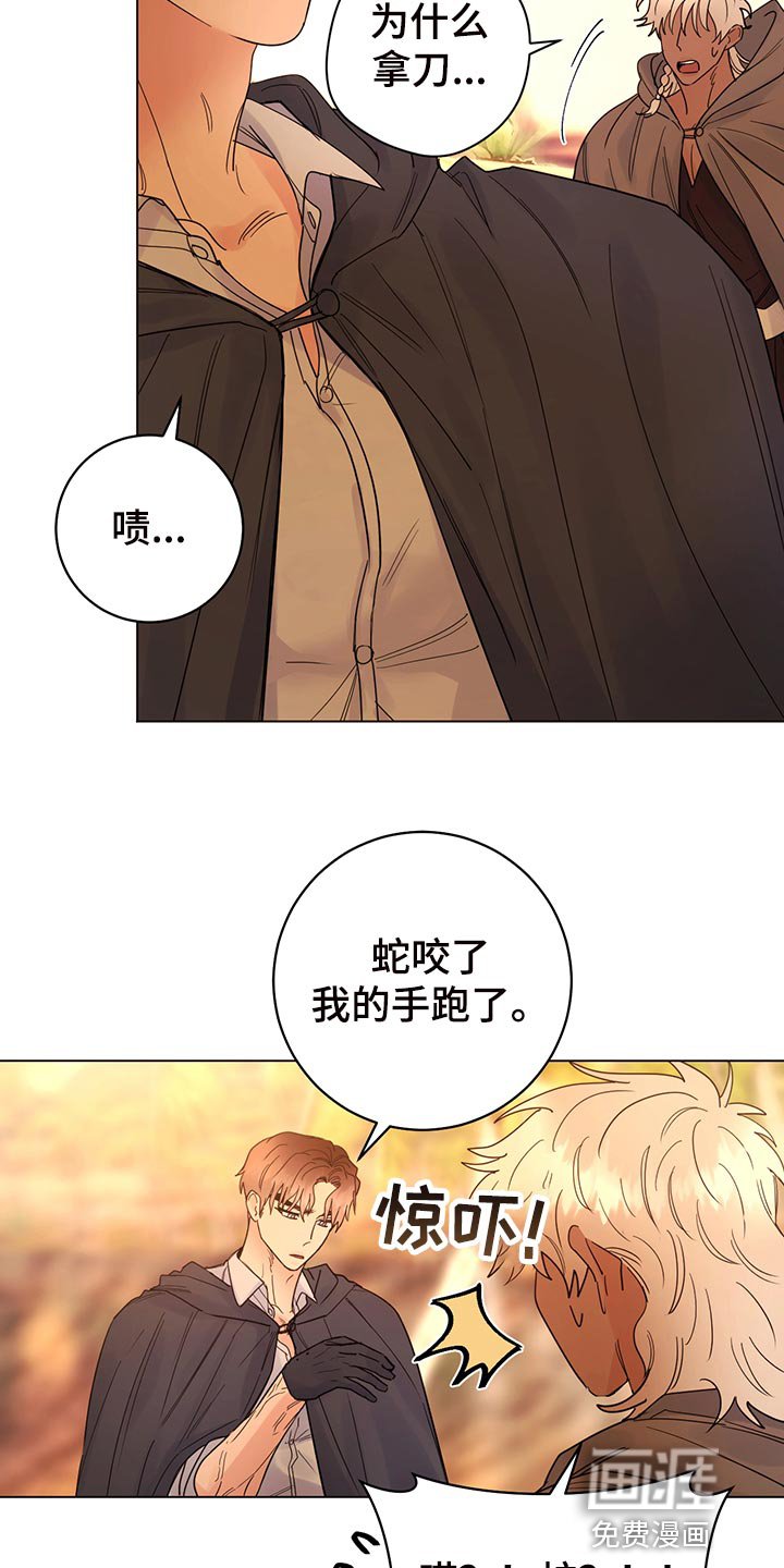 第101章：【番外】毒蛇