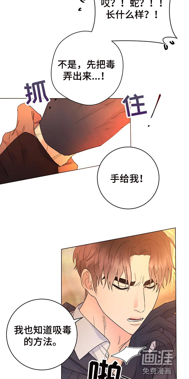 第101章：【番外】毒蛇