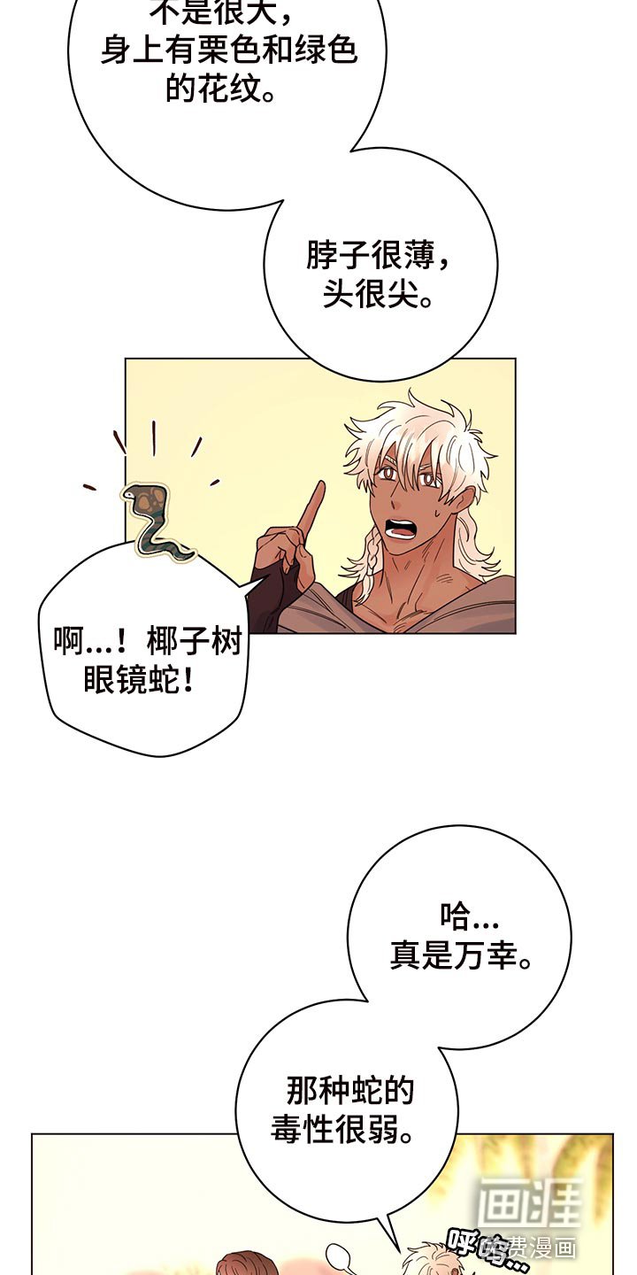 第101章：【番外】毒蛇