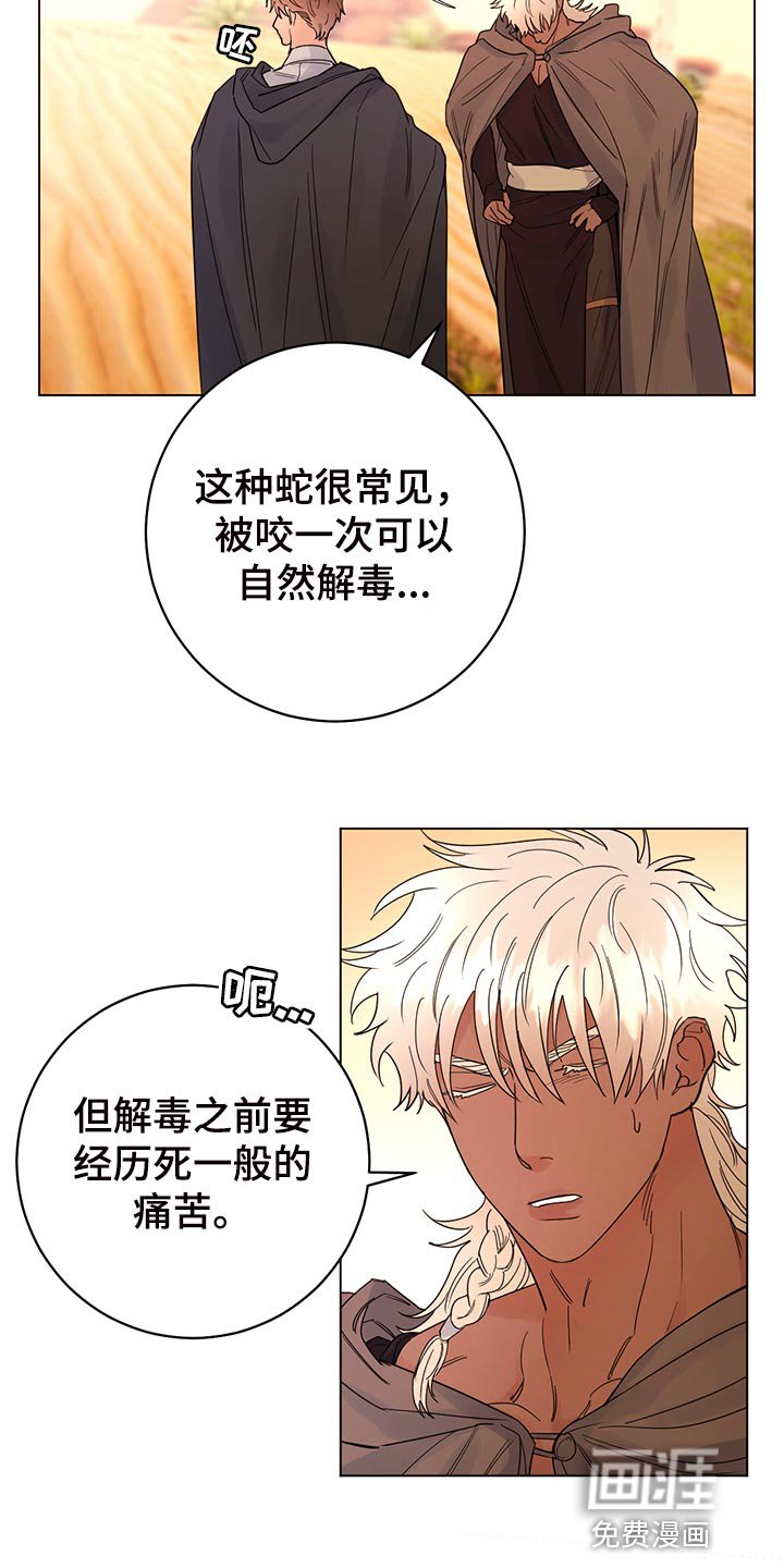 第101章：【番外】毒蛇