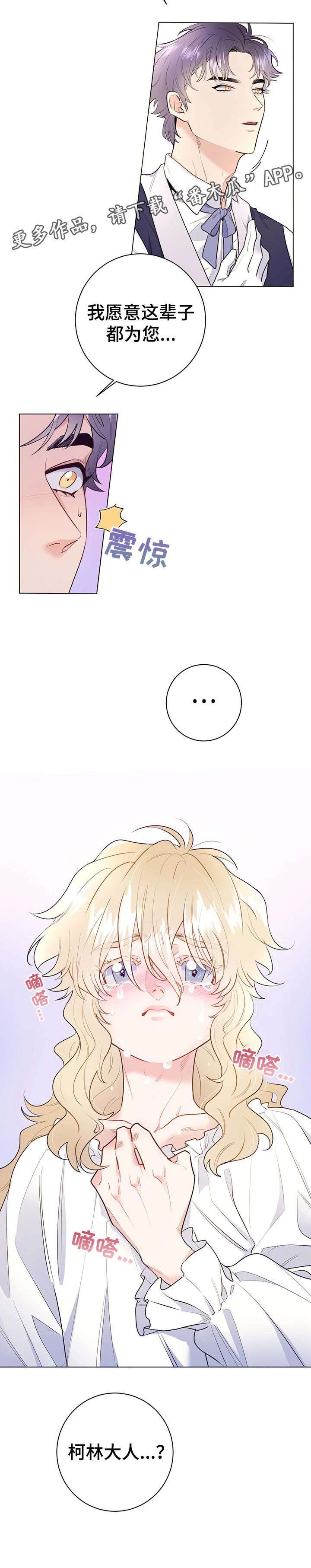 第11章：不足挂齿