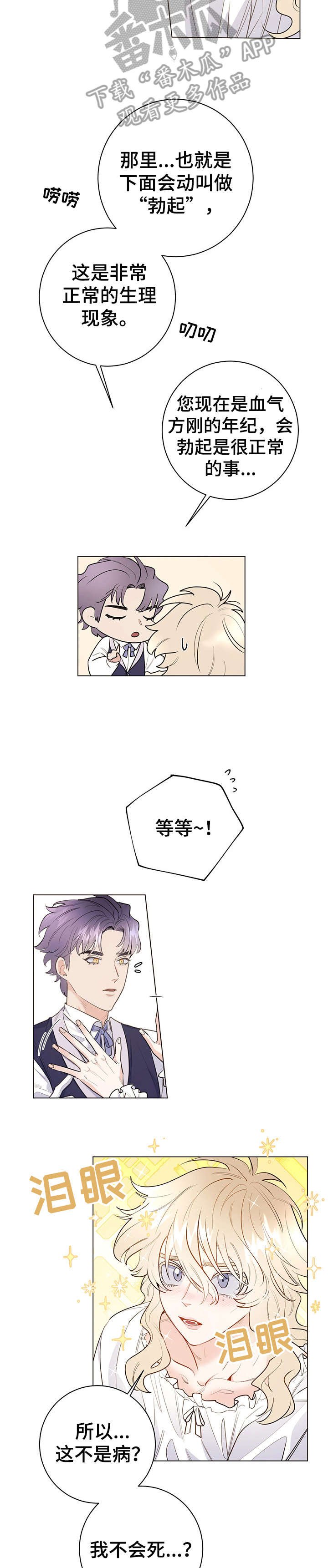 第12章：真可爱
