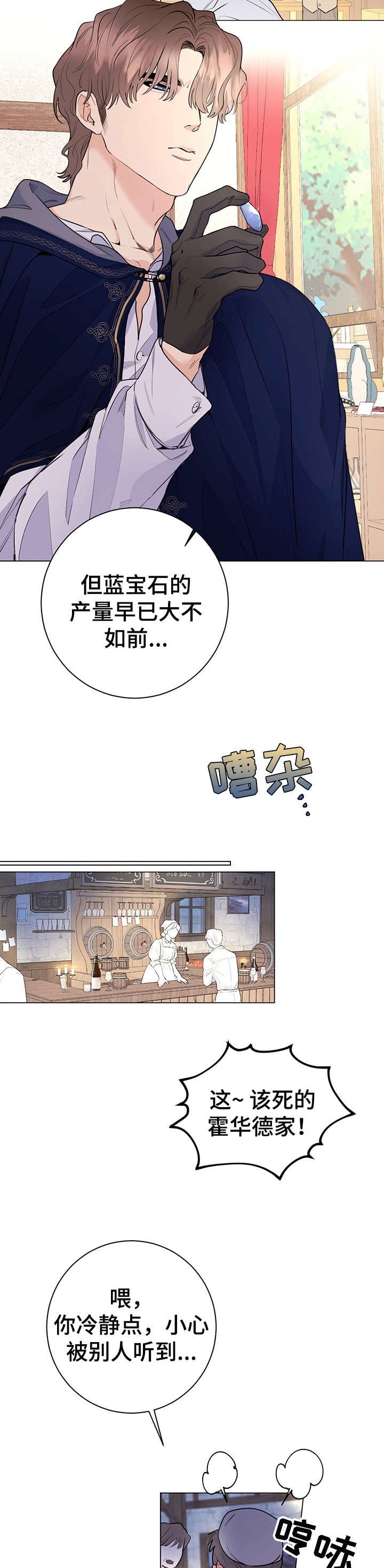 第13章：特点