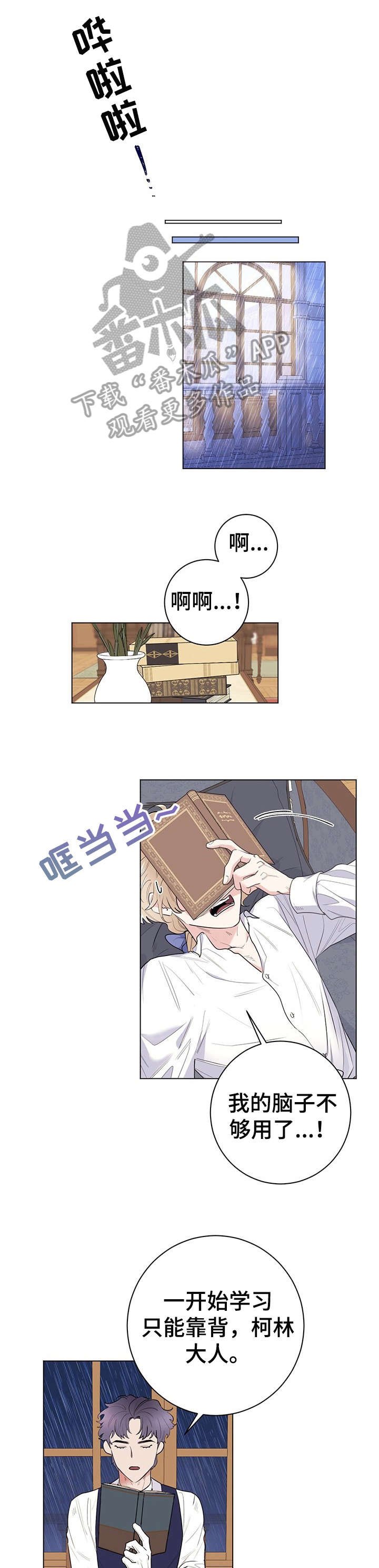第13章：特点