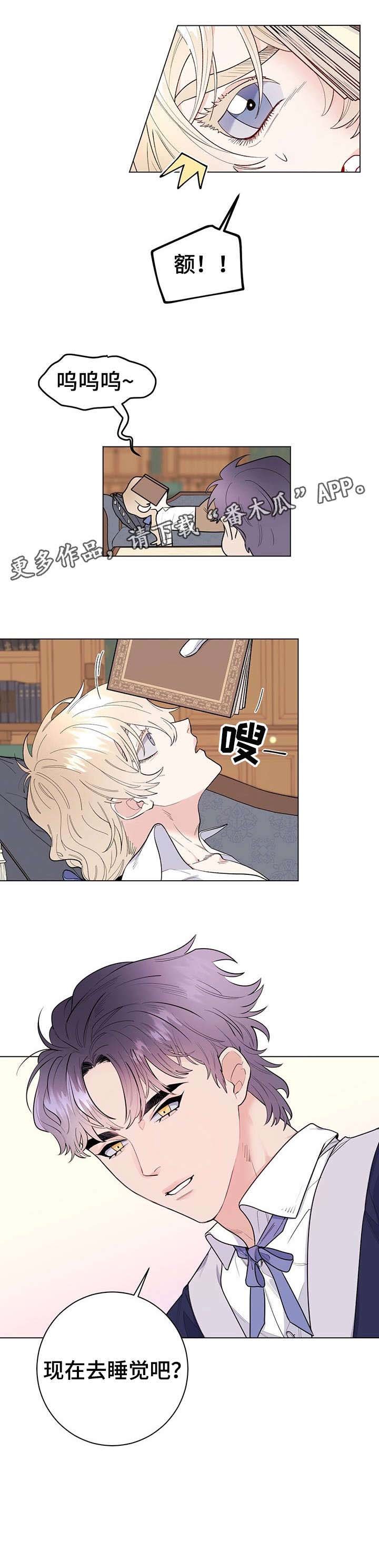 第13章：特点