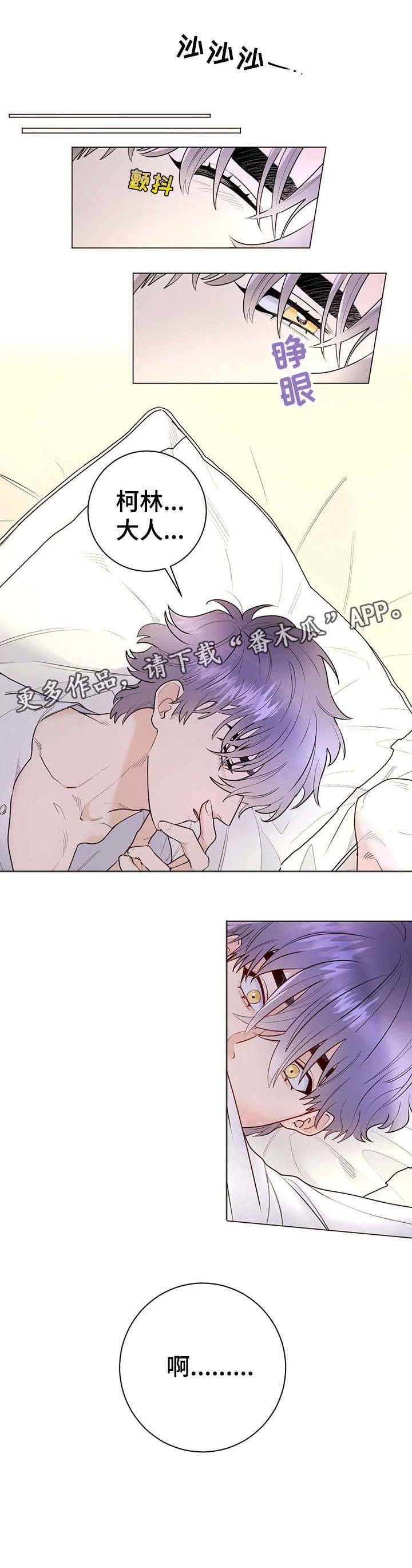 第15章：进来