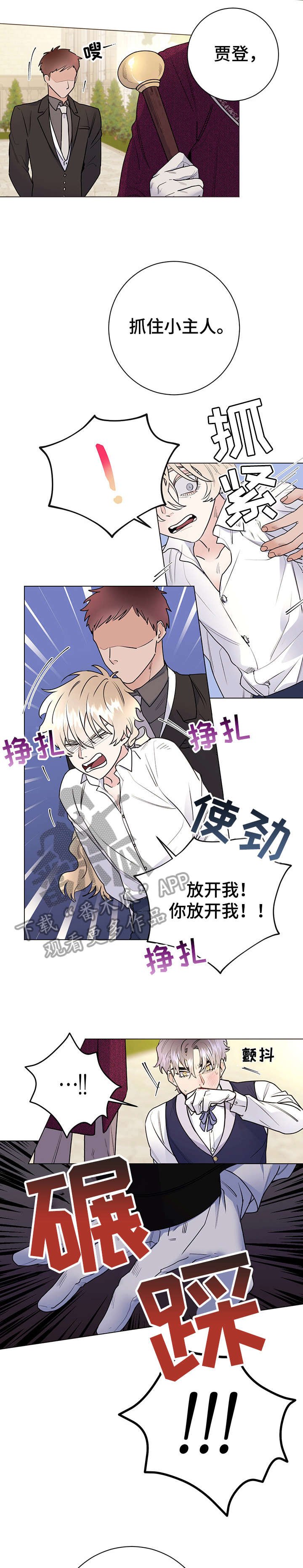 第21章：臭毛病