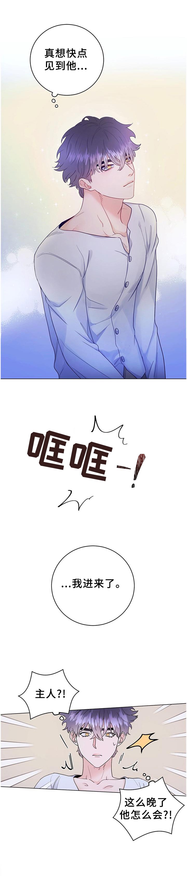 第29章：归来
