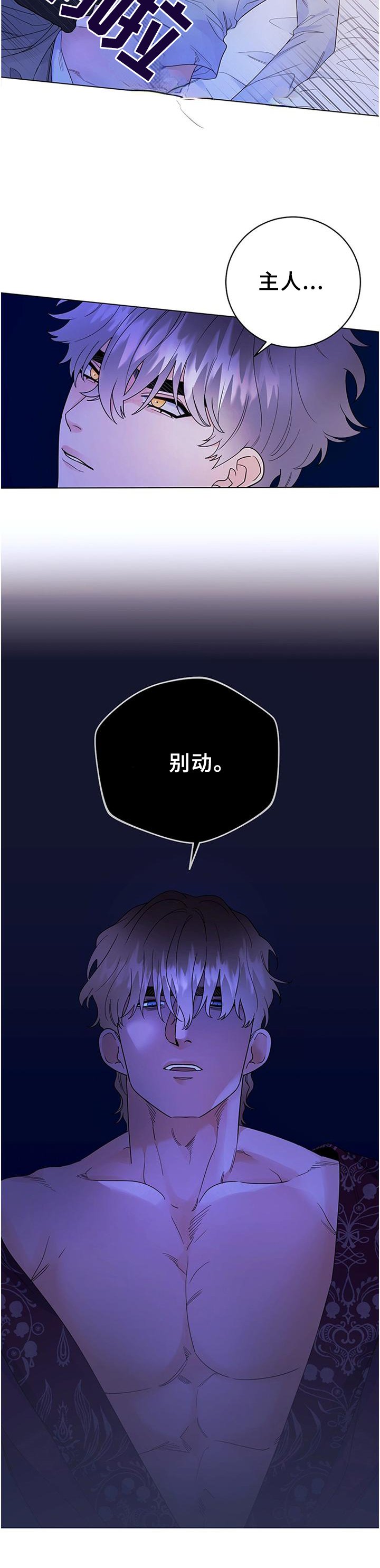 第29章：归来