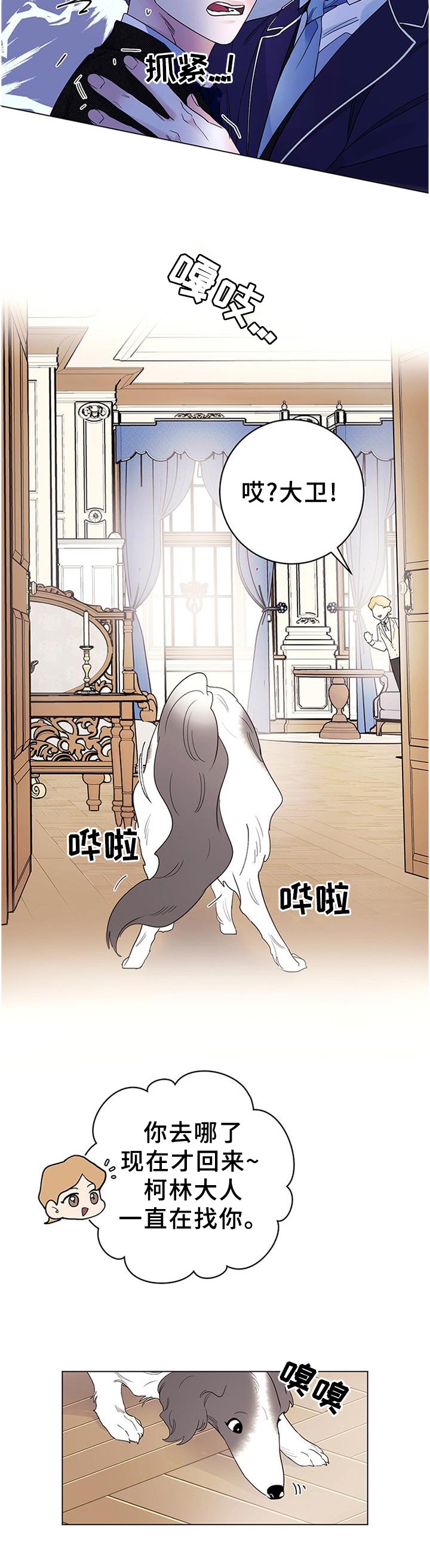 第32章：灵性的狗狗