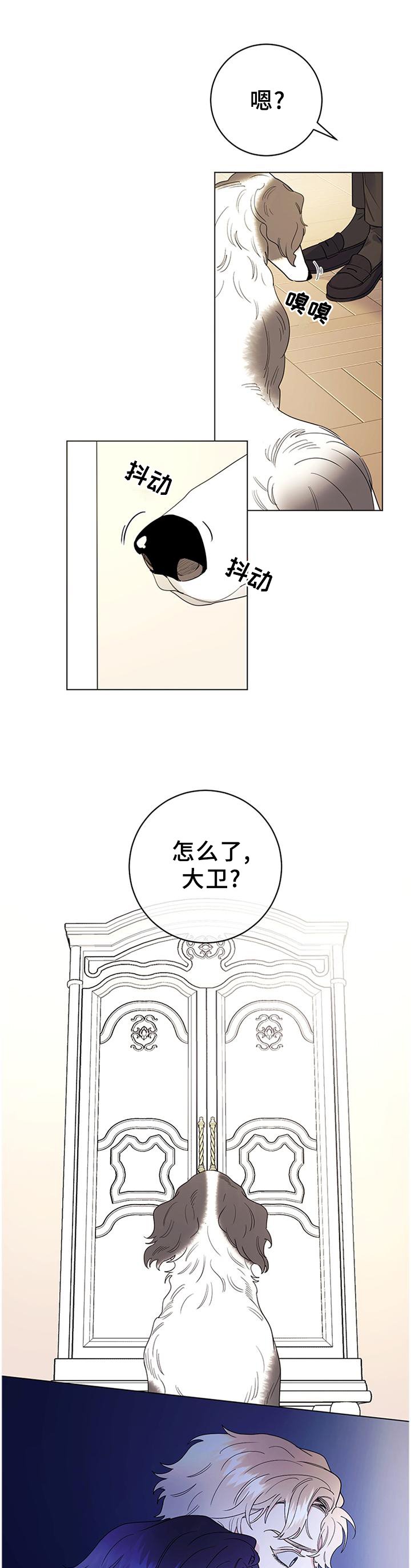 第32章：灵性的狗狗