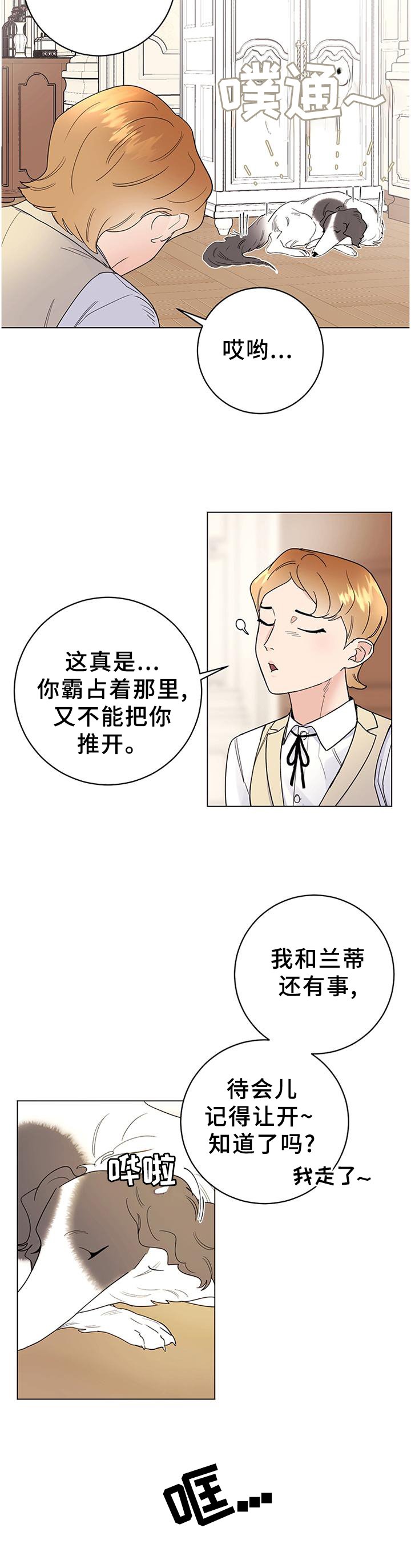 第32章：灵性的狗狗