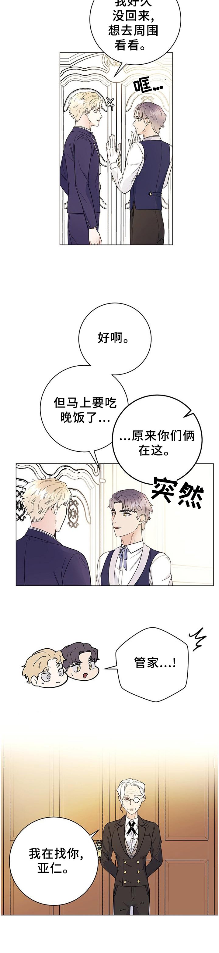 第32章：灵性的狗狗