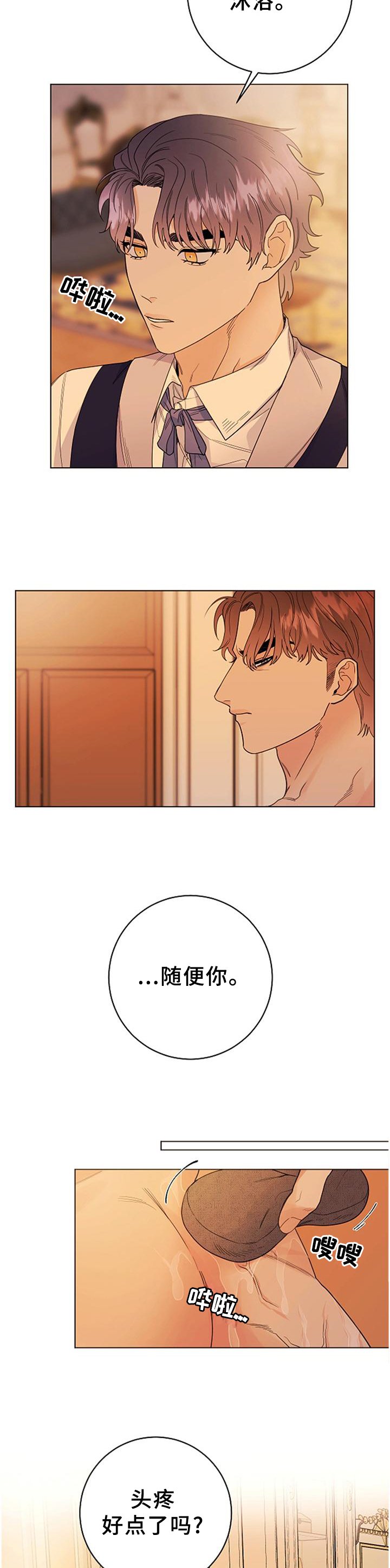 第36章：血统的故事