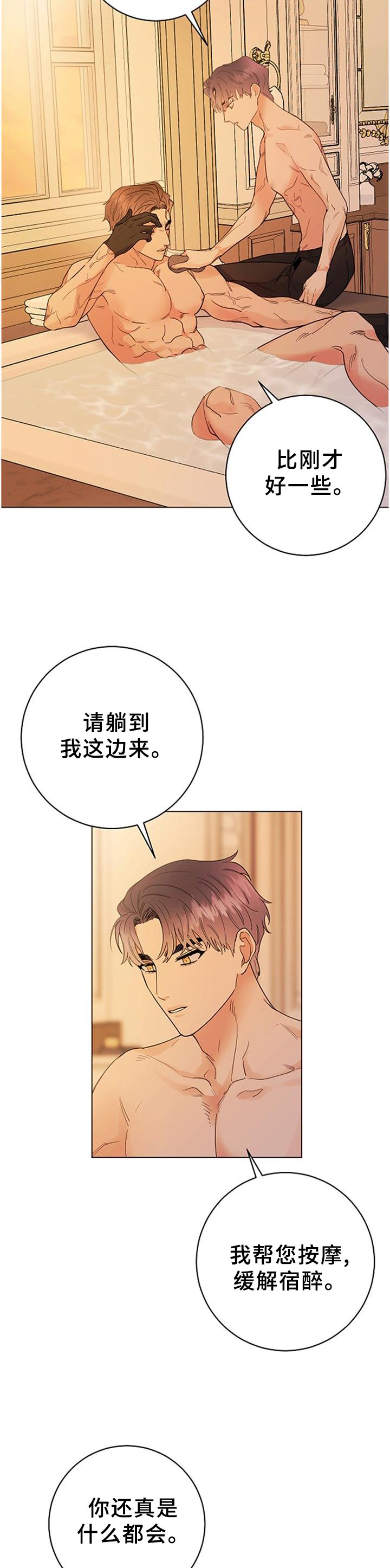 第36章：血统的故事