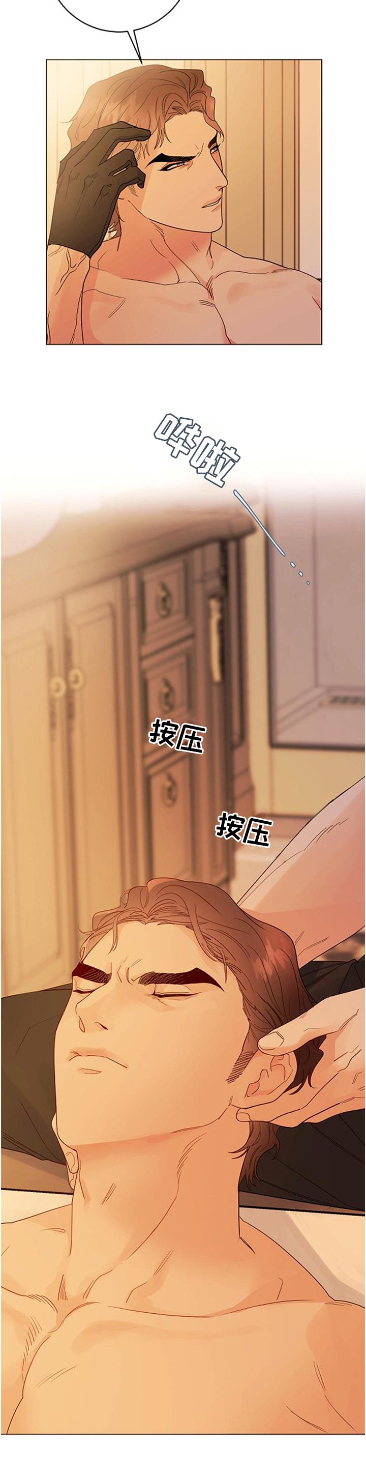 第36章：血统的故事