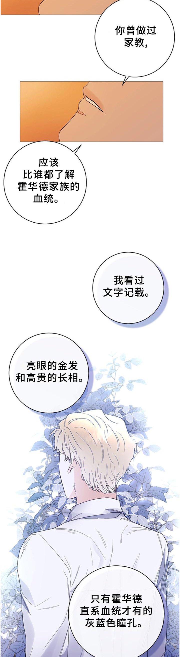 第36章：血统的故事