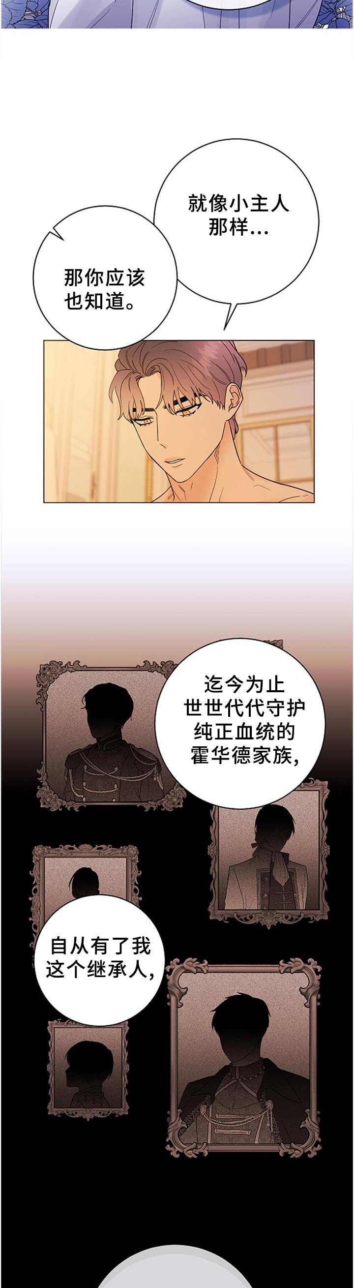 第36章：血统的故事