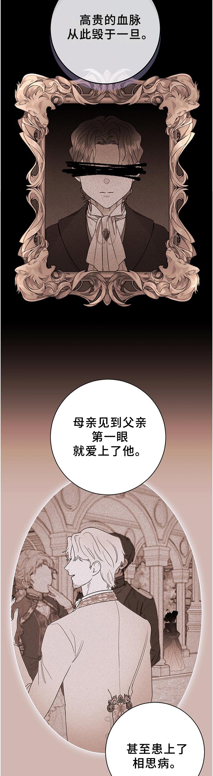 第36章：血统的故事