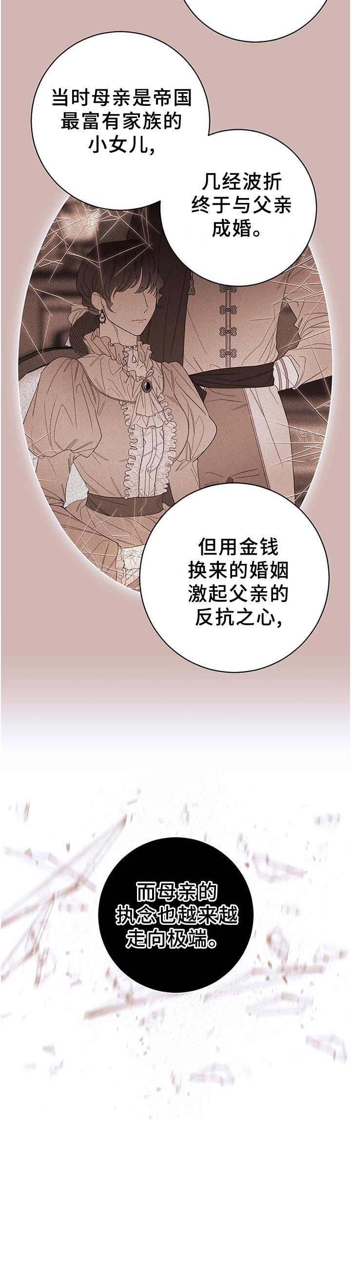 第36章：血统的故事