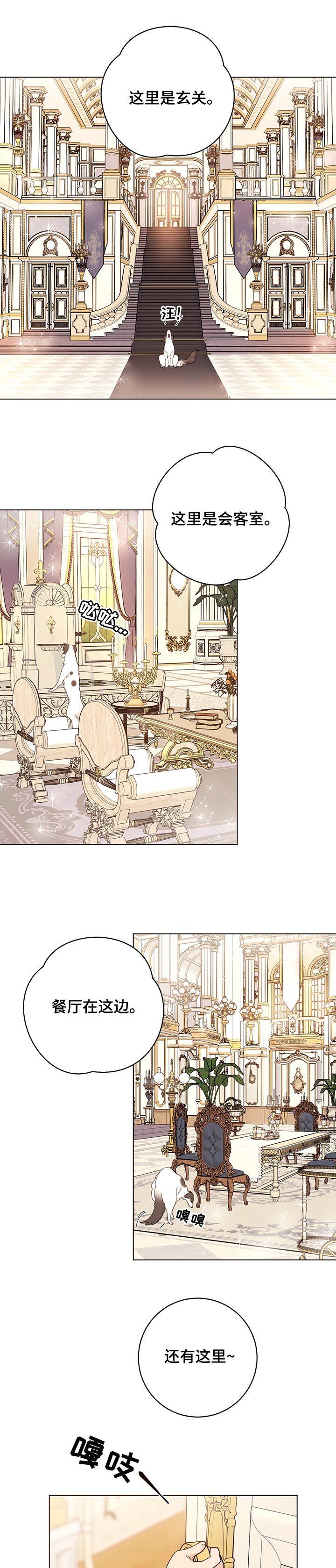 第58章：值得吗