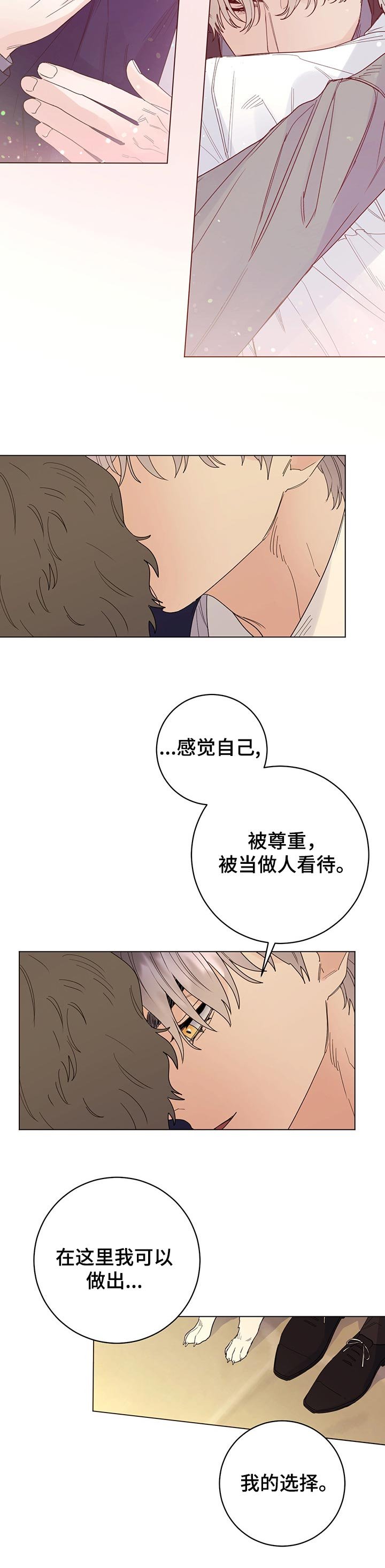 第61章：我的决定（第一季完结）