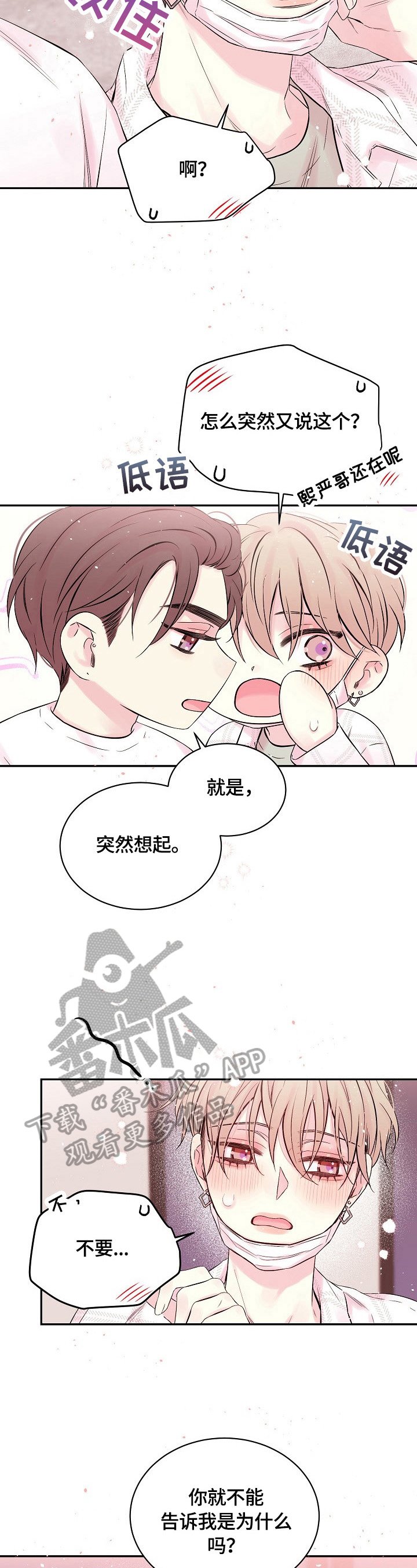 第21章：心墙倒塌