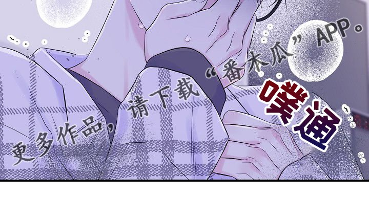 第65章：我撒了谎