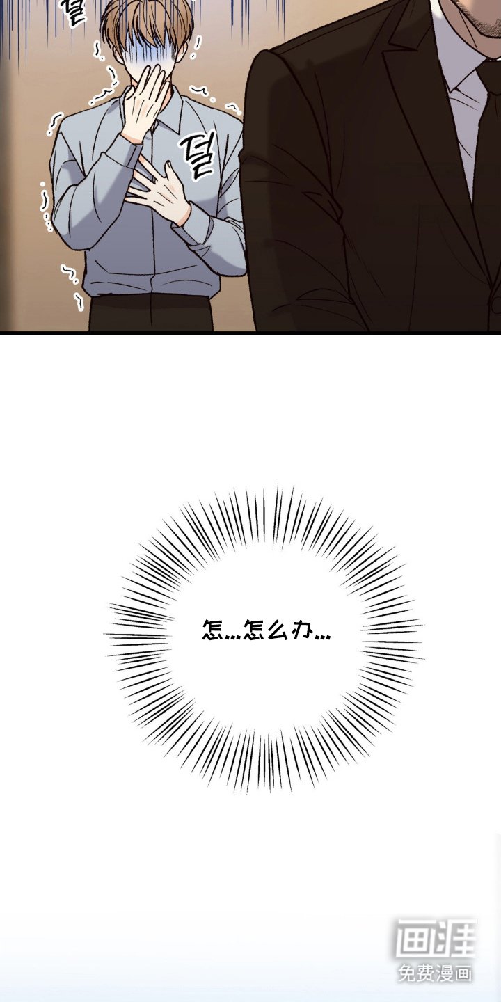 第11章：道歉