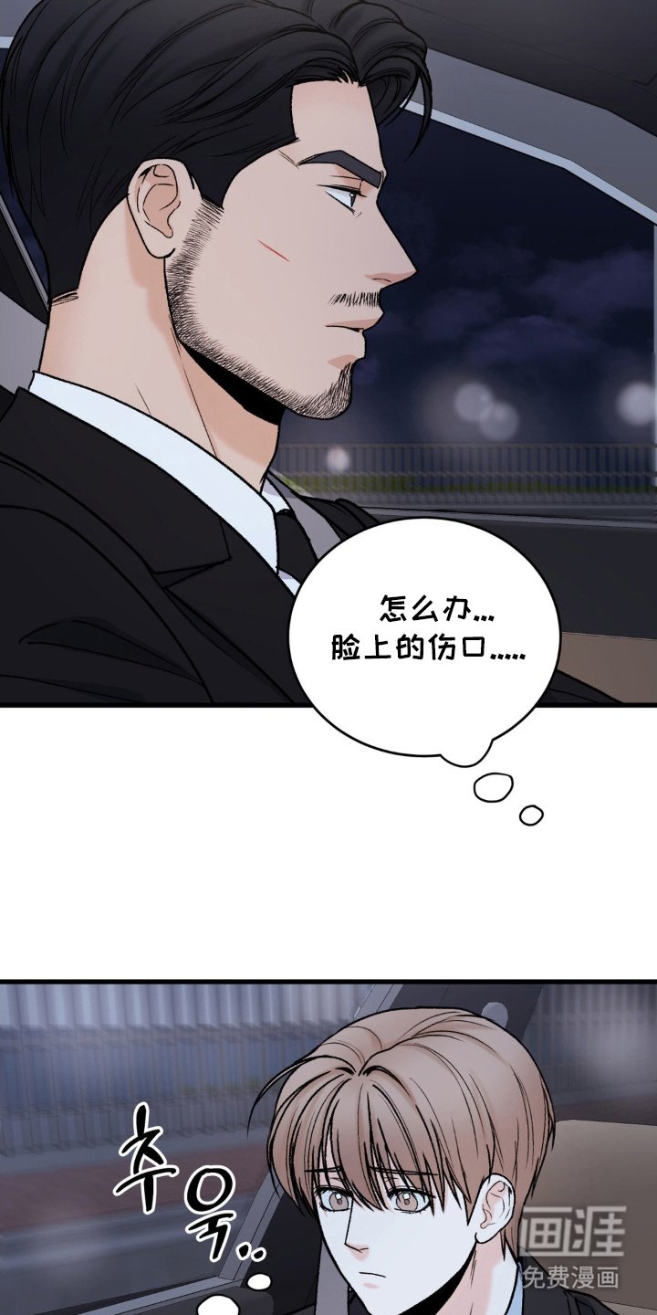 第11章：道歉