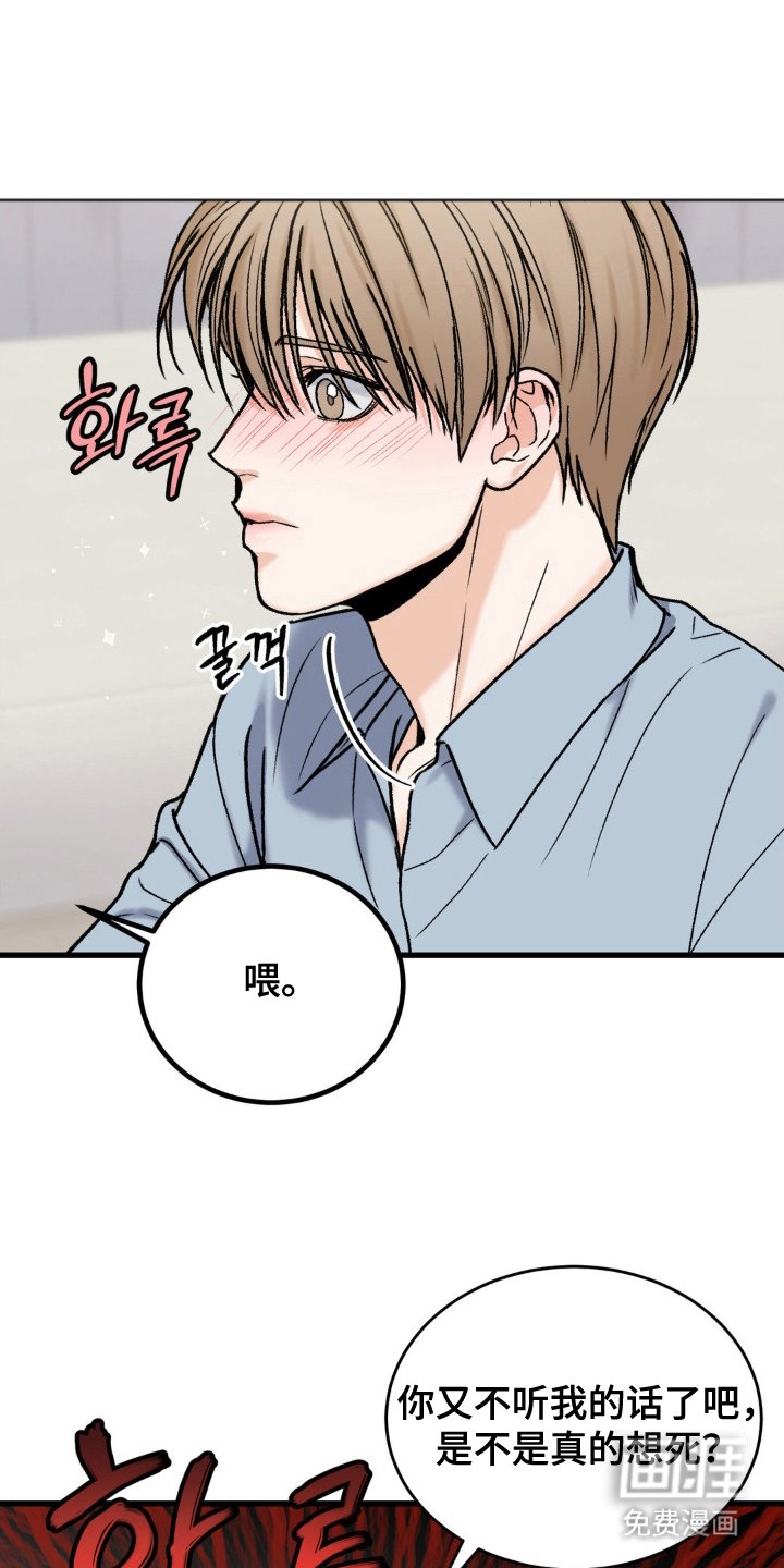 第14章：小兔子