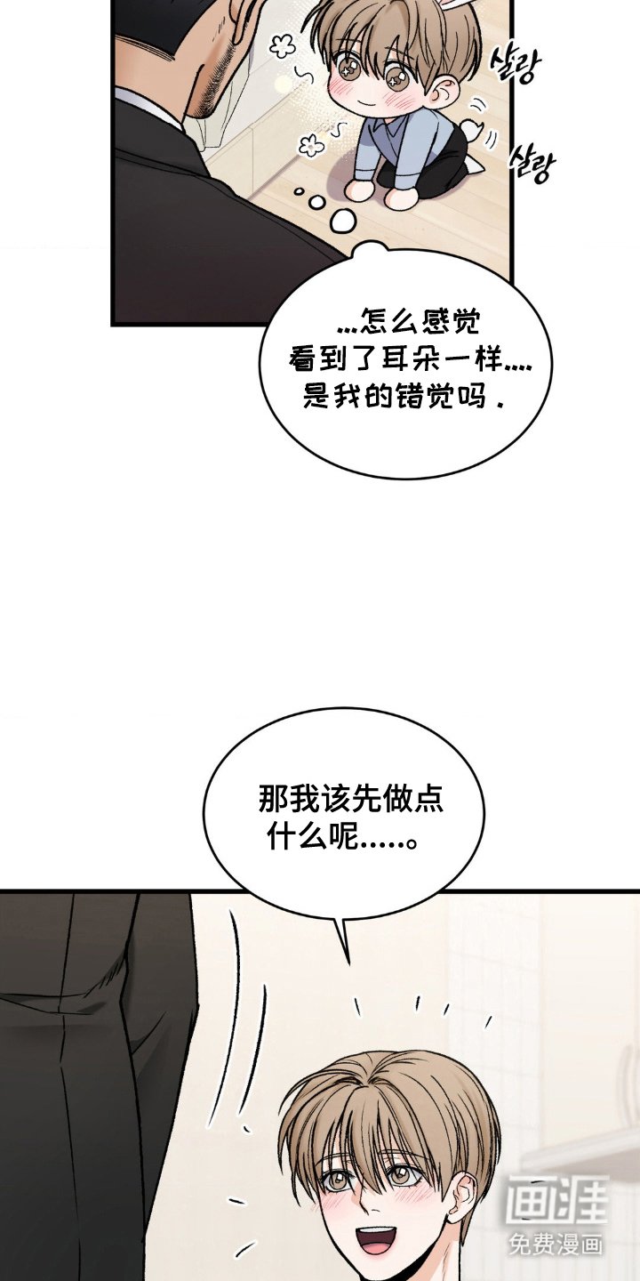第14章：小兔子