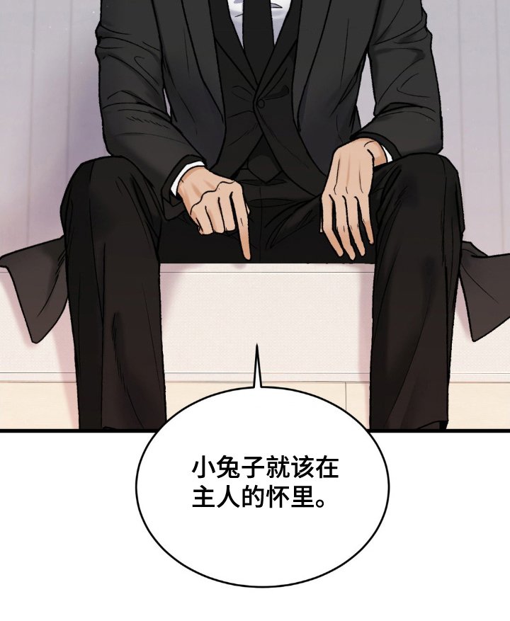第14章：小兔子
